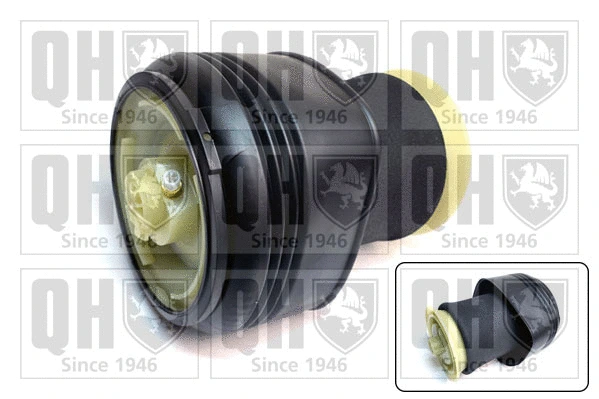 Air Spring, suspension (EMR4804)