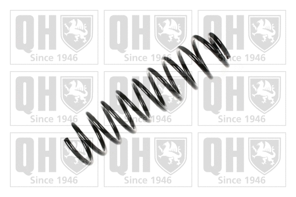 Suspension Spring (QCS7884)