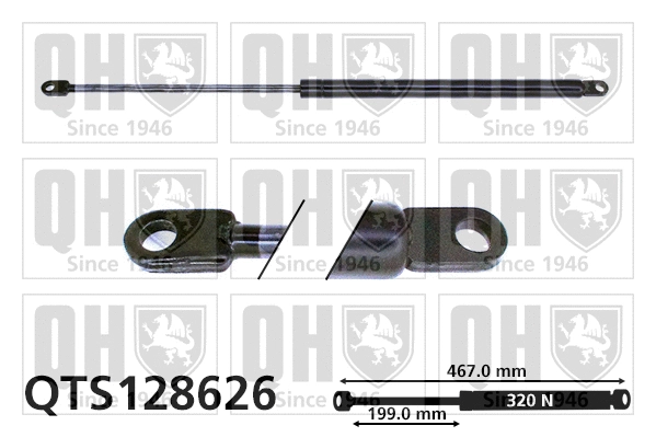 Gas Spring, bonnet (QTS128626)