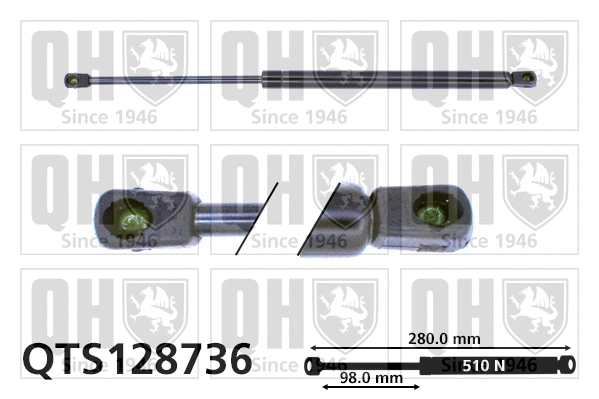 Gas Spring, boot/cargo area (QTS128736)