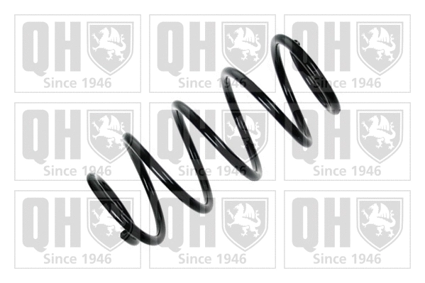 Suspension Spring (QCS7513)