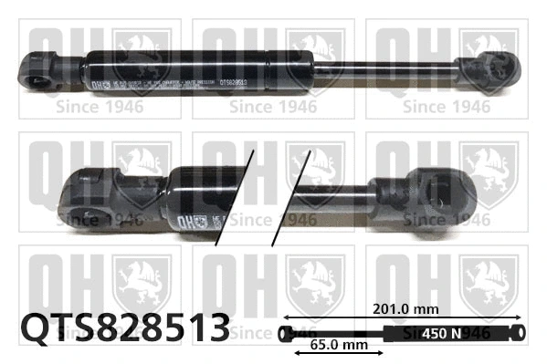 Gas Spring, boot/cargo area (QTS828513)