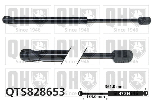 Gas Spring, boot/cargo area (QTS828653)