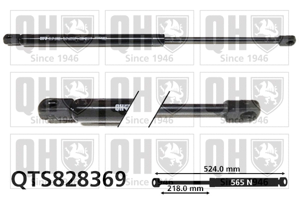 Gas Spring, boot/cargo area (QTS828369)