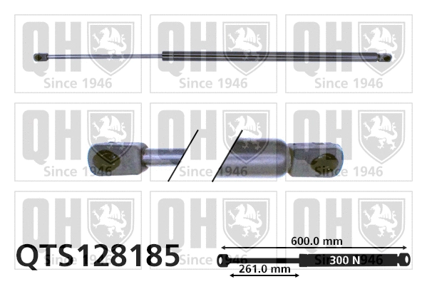Gas Spring, boot/cargo area (QTS128185)