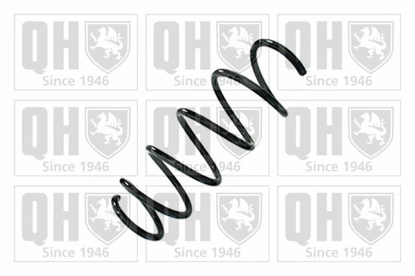 Suspension Spring (QCS9114)