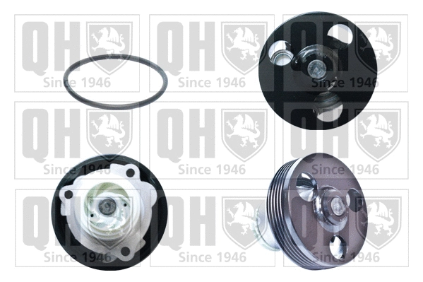 Water Pump, engine cooling (QCP3735)