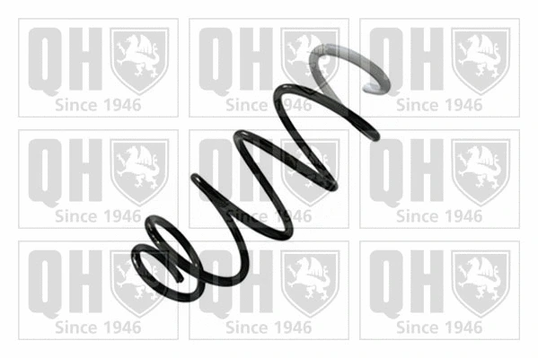 Suspension Spring (QCS8699)