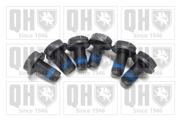 Bolt Kit, clutch (QKT2900)