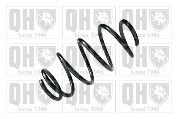 Suspension Spring (QCS5971)