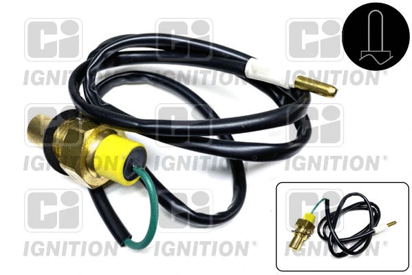 Sensor, oil temperature (XTS19)