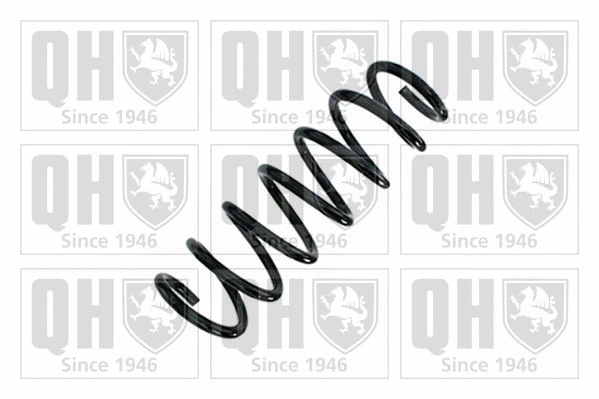 Suspension Spring (QCS9042)