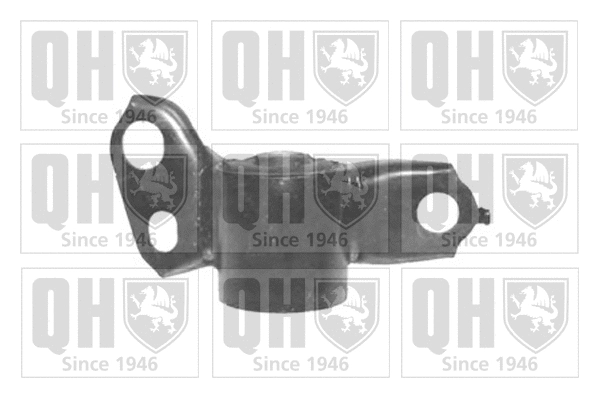 Mounting, control/trailing arm (EMS8388)