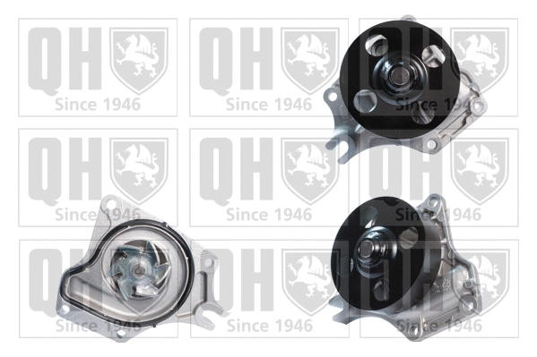 Water Pump, engine cooling (QCP3637)