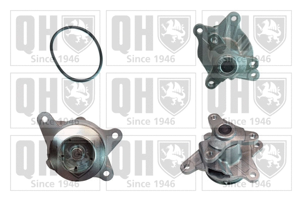 Water Pump, engine cooling (QCP3829)