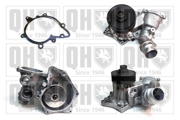 Water Pump, engine cooling (QCP3560)