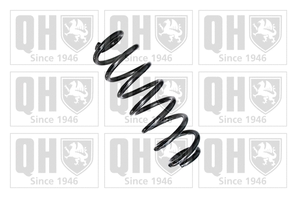 Suspension Spring (QCS5481)