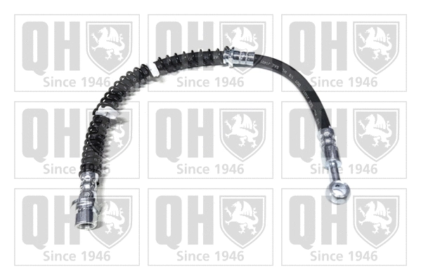 Brake Hose (BFH6191)