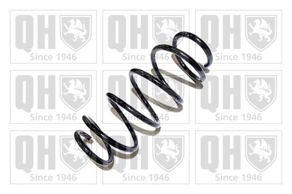 Suspension Spring (QCS7074)