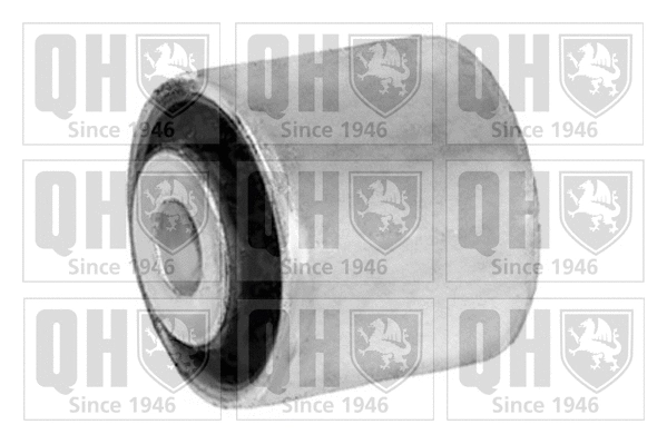 Mounting, control/trailing arm (EMS8235)
