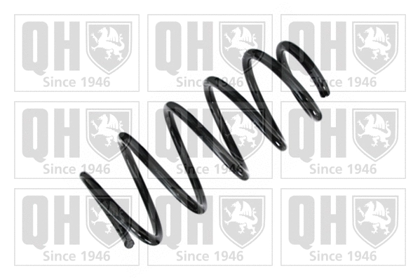 Suspension Spring (QCS6502)