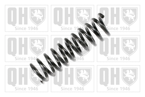 Suspension Spring (QCS7172)
