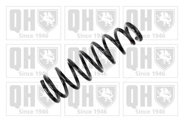Suspension Spring (QCS8006)