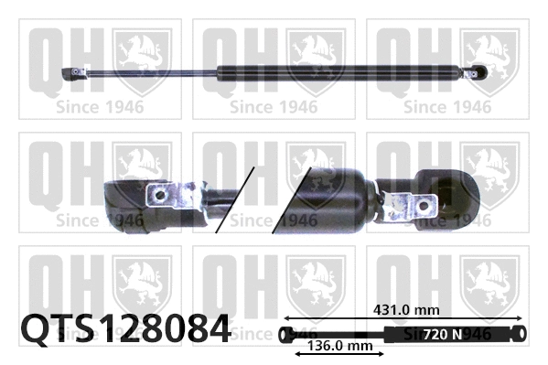 Gas Spring, boot/cargo area (QTS128084)
