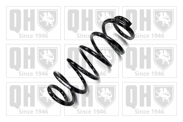 Suspension Spring (QCS7361)