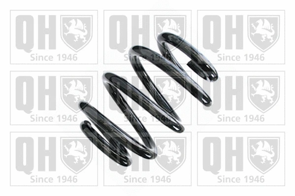 Suspension Spring (QCS8752)