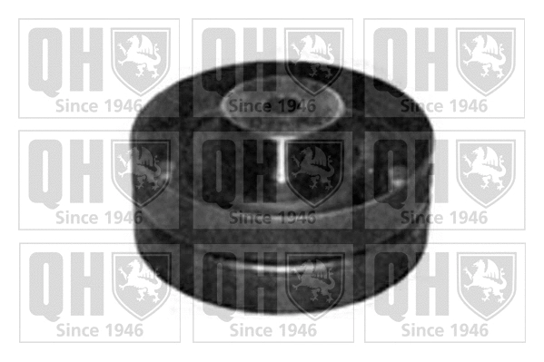 Deflection/Guide Pulley, timing belt (QTT174)