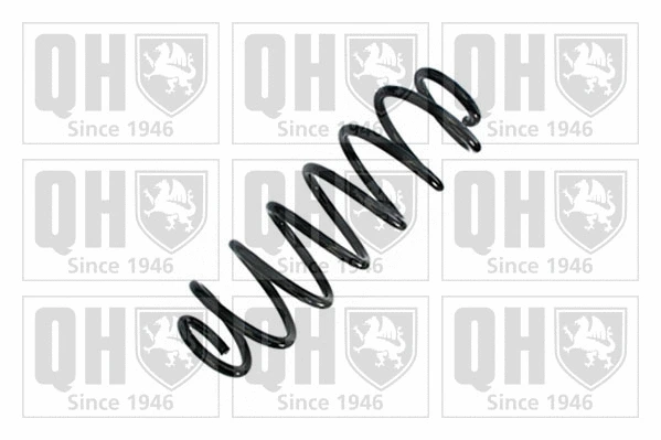 Suspension Spring (QCS9076)