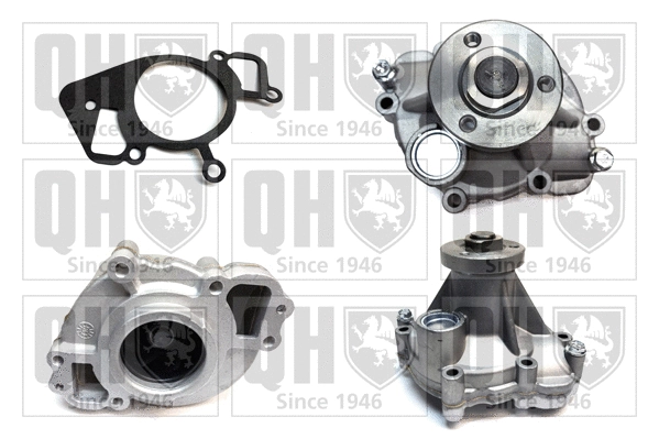 Water Pump, engine cooling (QCP3669)