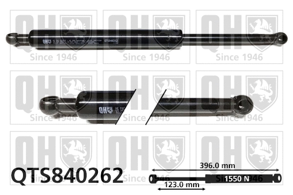Gas Spring, boot/cargo area (QTS840262)