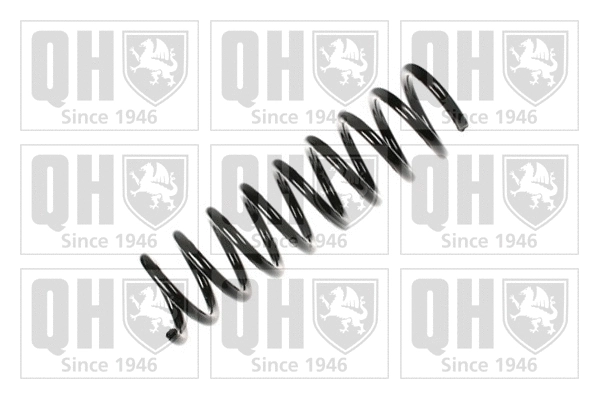 Suspension Spring (QCS6480)