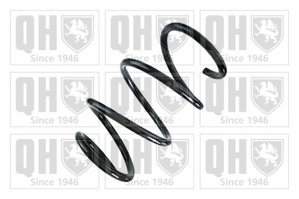 Suspension Spring (QCS8738)