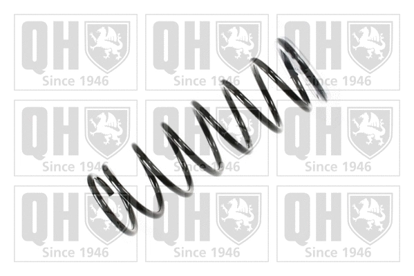 Suspension Spring (QCS7685)