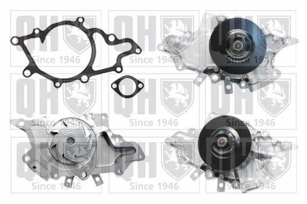 Water Pump, engine cooling (QCP3682)