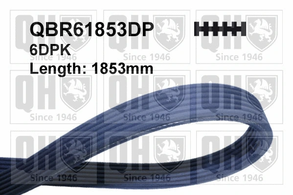 V-Ribbed Belt (QBR61853DP)