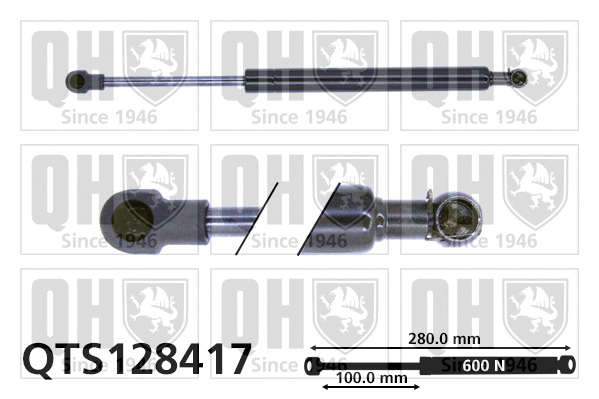 Gas Spring, boot/cargo area (QTS128417)