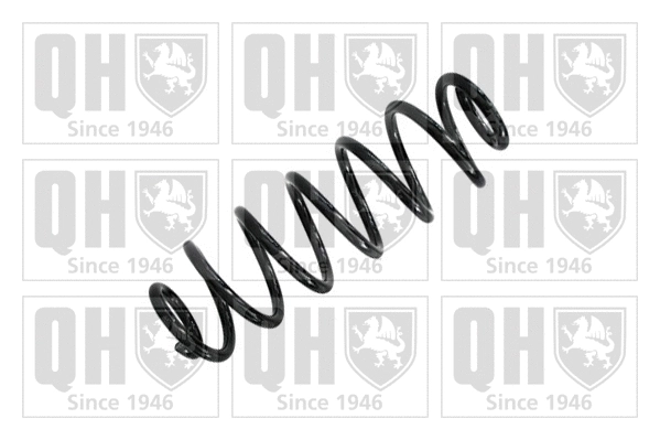 Suspension Spring (QCS5351)