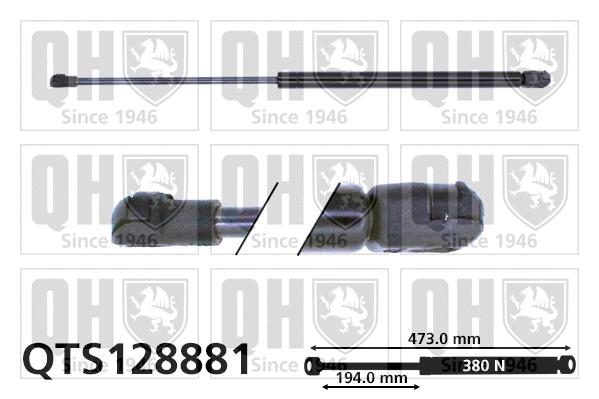 Gas Spring, boot/cargo area (QTS128881)