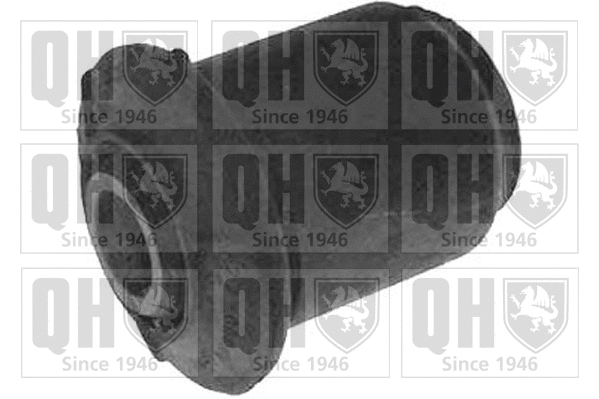 Mounting, control/trailing arm (EMS1948)