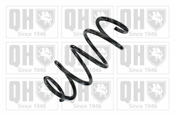 Suspension Spring (QCS9131)