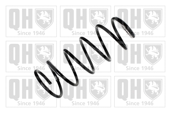 Suspension Spring (QCS5270)