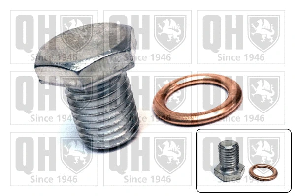 Screw Plug, oil sump (QOC1038)
