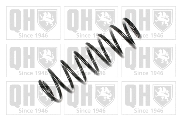 Suspension Spring (QCS6821)