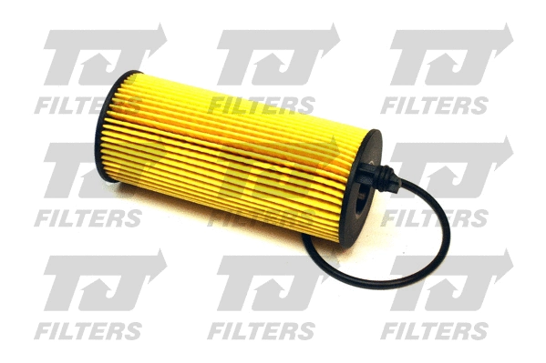 Oil Filter (QFL0318)