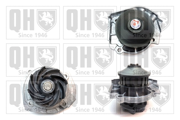 Water Pump, engine cooling (QCP3436)