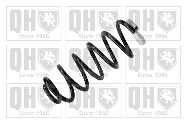 Suspension Spring (QCS5857)